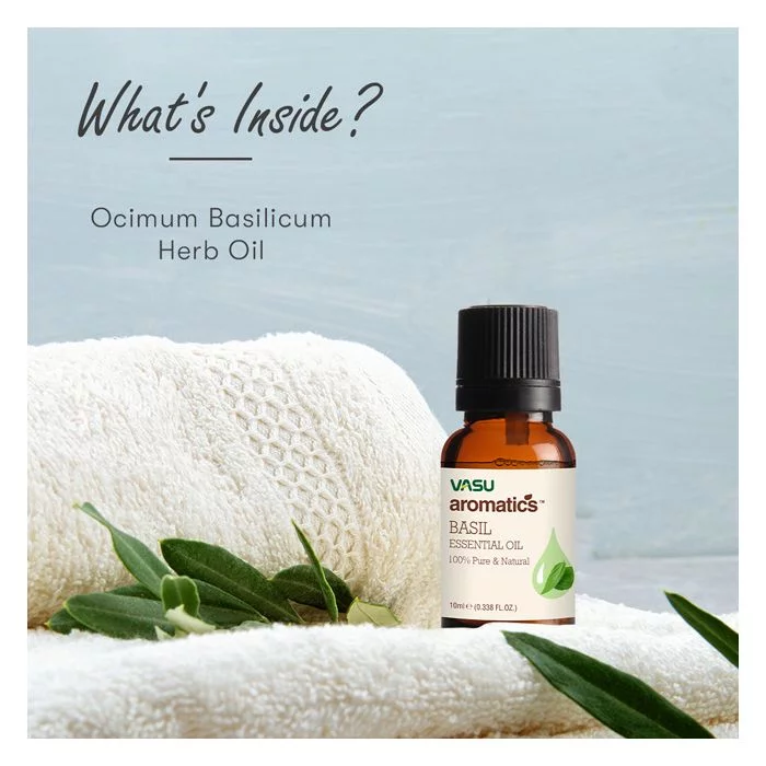Vasu Aromatics Basil Essential Oil - 100% Pure and Natural - Image 3